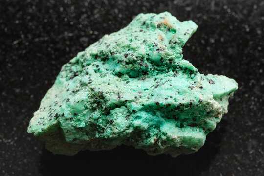 uncut chrysocolla rock with libethenite on black