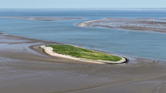 Tern Bird Breeding Island near Eemshaven Groningen Netherlands