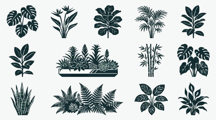 Industrial Style Black and White Line Art Collection of Various Houseplants and Greenery for Modern Decor © Dodi