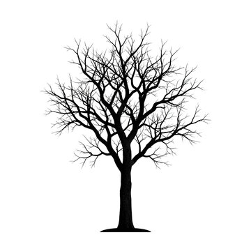 Simple black and white tree illustration with bare branches standing on grass