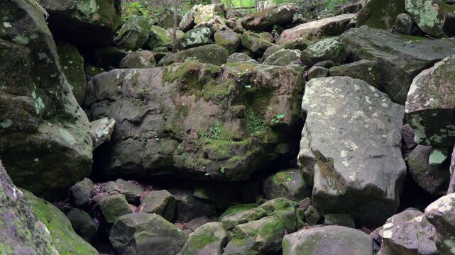 Rugged, dry rocky Arkansas creek bed surrounded by dense green forest foliage and towering limestone bluff walls along a wilderness hiking trail