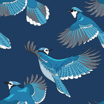 Seamless pattern with Blue Jay birds
