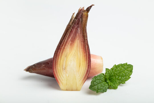 Zingiber striolatum on a white background