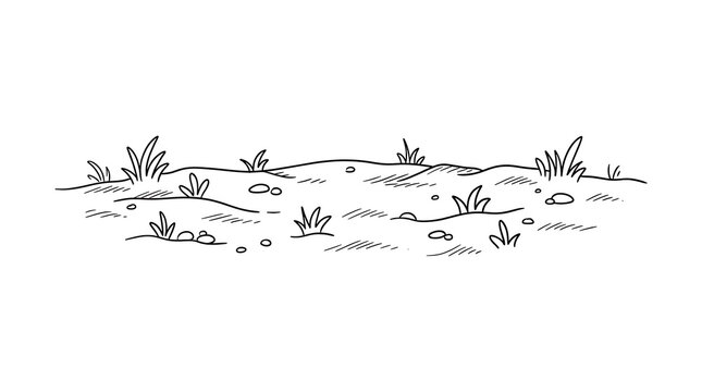 Minimalist line sketch of a patch of ground with grass and stones landscape botanical minimalist environment wilderness exterior