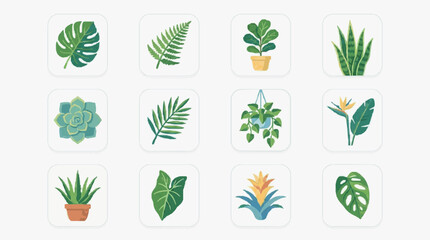 Industrial Style of Twelve Diverse and Colorful Houseplants in Minimalist Frames for Modern Decor © Dodi
