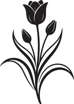 Black silhouette of a tulip flower and buds