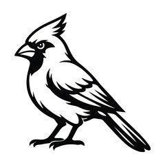 Fototapeta premium Cardinal Bird Outline Silhouette Wildlife Nature Artwork
