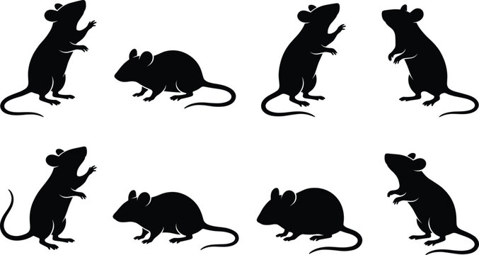 Mouse silhouettes set, rat vector illustration, rodent black icons, isolated on white background