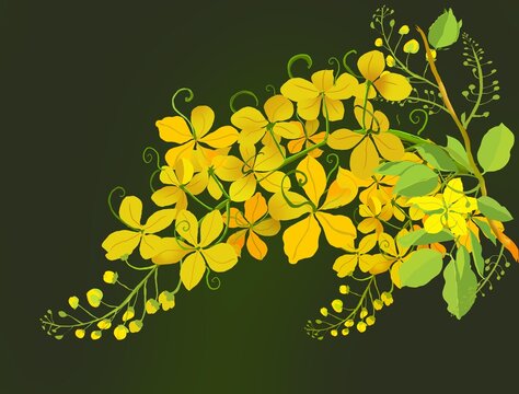 Beautiful golden shower tree flowers illustration. Yellow cassia fistula blooming.