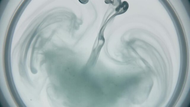 aquatic jellyfish swimming in dark blue water tank