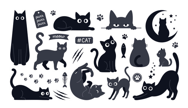 Black cat silhouettes and kitten vector illustration set. Collection featuring paw prints, fish bones, moon, stars, scratch marks, tags and playful pet character decorations.