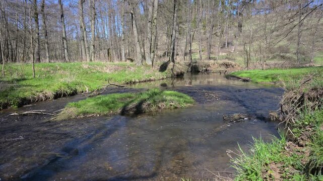 relaxing view on a flowing creek with nature sounds