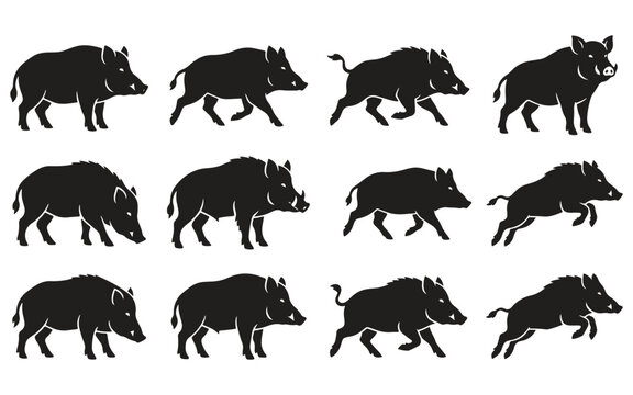 A collection of 12 ultra-minimal wild boar silhouettes in a vector style.