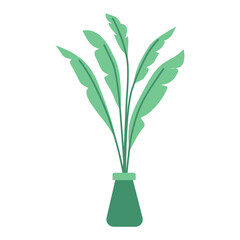 Obraz premium Decorative Green Plant in Vase Illustration Isolated on Transparent Background