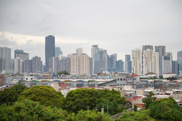 Fototapeta premium Green trees in the foreground with a modern city skyline creating a balanced urban and nature landscape.