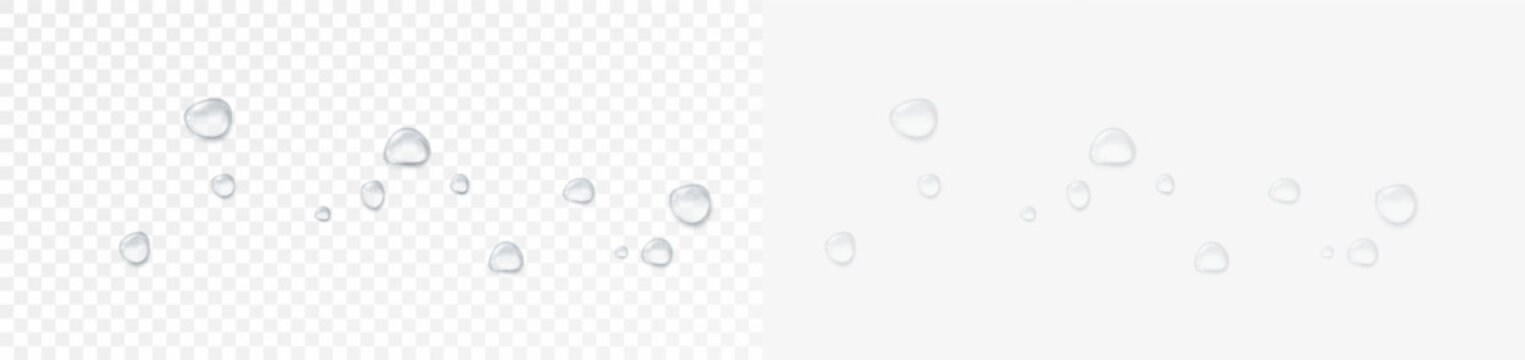 Realistic water drops on a transparent background, condensation on the surface with light reflection and shadow, vector, png, 3D effect.	
