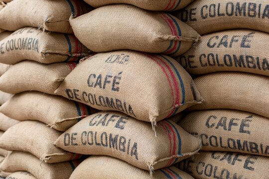 The Burlap Coffee Sacks Stacked High in a Rustic Colombian Warehouse