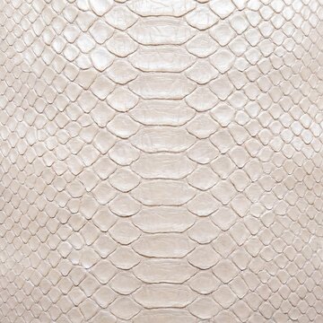 White Python Snake Skin Texture Background with Natural Scale Pattern
