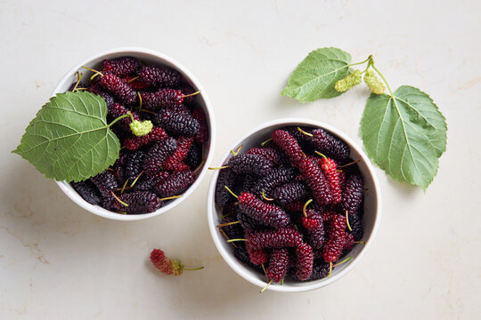 Organic mulberries with green leaves on a light background