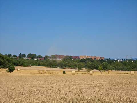 germany, stunning panoramic scharnhauser park cityscape beyond ripe grainfields hay bales and swirling summer grass under blue sky