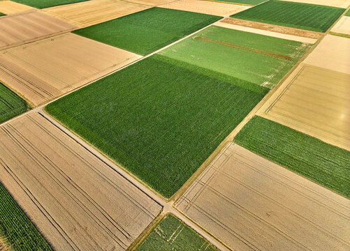 Aerial view of geometric grain and corn fields forming a colorful agricultural landscape with fertile farmland and rural patterns in summer. Langes Feld, Baden-W&uuml;rttemberg, Germany