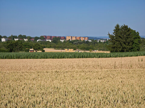germany, expansive panoramic harvest landscape overlooking scharnhauser park with golden grainfields hay bales and charming residential skyline