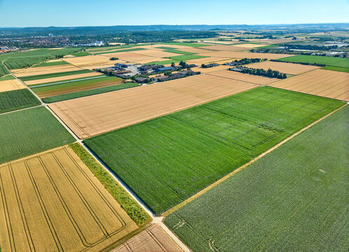 Aerial view of geometric grain and corn fields forming a colorful agricultural landscape with fertile farmland and rural patterns in summer. Langes Feld, Baden-W&uuml;rttemberg, Germany