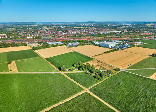 Aerial view of geometric grain and corn fields forming a colorful agricultural landscape with fertile farmland and rural patterns in summer. Langes Feld, Baden-W&uuml;rttemberg, Germany