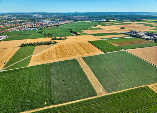 Aerial view of geometric grain and corn fields forming a colorful agricultural landscape with fertile farmland and rural patterns in summer. Langes Feld, Baden-W&uuml;rttemberg, Germany