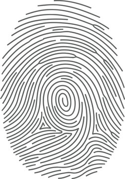 Fingerprint identification