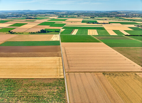 Aerial view of geometric grain and corn fields forming a colorful agricultural landscape with fertile farmland and rural patterns in summer. Langes Feld, Baden-W&uuml;rttemberg, Germany
