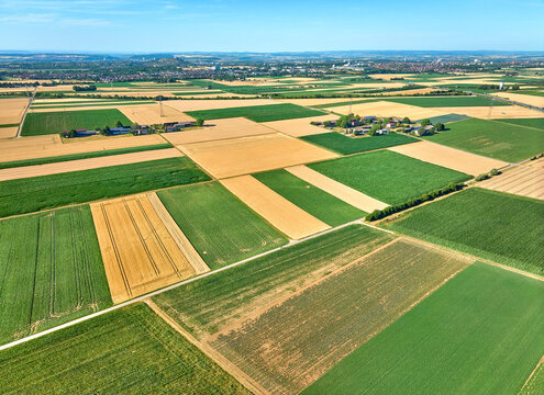 Aerial view of geometric grain and corn fields forming a colorful agricultural landscape with fertile farmland and rural patterns in summer. Langes Feld, Baden-W&uuml;rttemberg, Germany