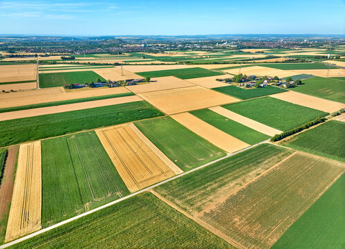 Aerial view of geometric grain and corn fields forming a colorful agricultural landscape with fertile farmland and rural patterns in summer. Langes Feld, Baden-W&uuml;rttemberg, Germany
