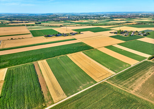 Aerial view of geometric grain and corn fields forming a colorful agricultural landscape with fertile farmland and rural patterns in summer. Langes Feld, Baden-W&uuml;rttemberg, Germany