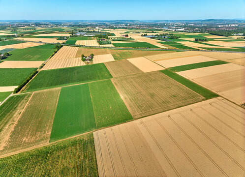 Aerial view of geometric grain and corn fields forming a colorful agricultural landscape with fertile farmland and rural patterns in summer. Langes Feld, Baden-W&uuml;rttemberg, Germany