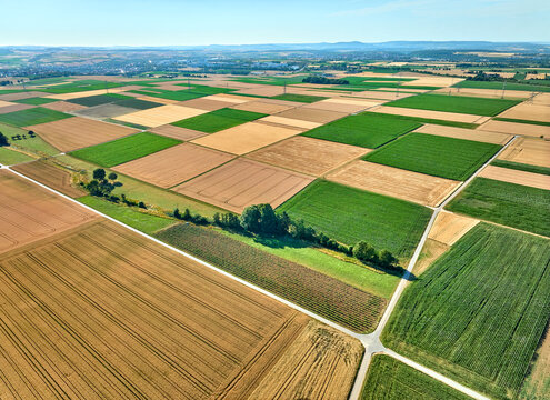 Aerial view of geometric grain and corn fields forming a colorful agricultural landscape with fertile farmland and rural patterns in summer. Langes Feld, Baden-W&uuml;rttemberg, Germany