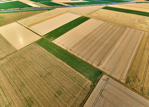 Aerial view of geometric grain and corn fields forming a colorful agricultural landscape with fertile farmland and rural patterns in summer. Langes Feld, Baden-W&uuml;rttemberg, Germany