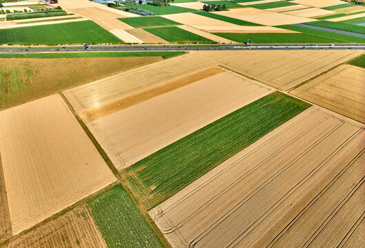 Aerial view of geometric grain and corn fields forming a colorful agricultural landscape with fertile farmland and rural patterns in summer. Langes Feld, Baden-W&uuml;rttemberg, Germany