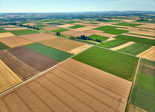 Aerial view of geometric grain and corn fields forming a colorful agricultural landscape with fertile farmland and rural patterns in summer. Langes Feld, Baden-W&uuml;rttemberg, Germany