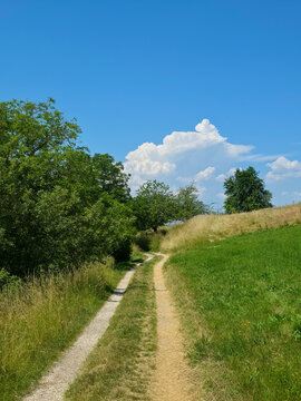 germany, inviting hiking trail through green pastures and trees leading toward a magnificent towering cumulus cloud beneath blue skies