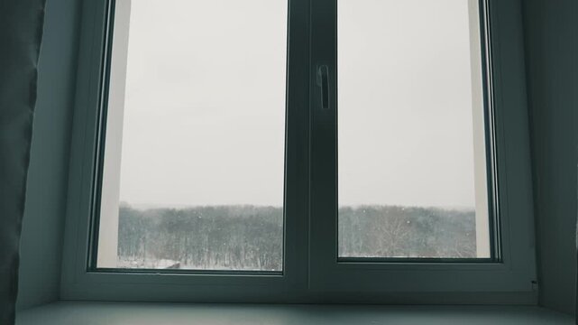 Slow zoom out from a window revealing a bleak overcast winter forest. Concept of loneliness, seasonal affective disorder, quiet contemplation, and feeling isolated at home.
