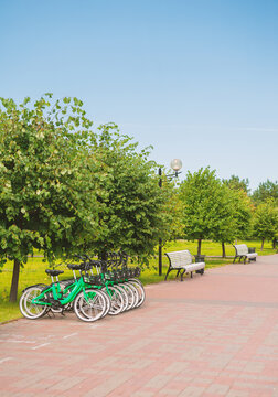 Tree lined pathway and rental bicycles invites recreation