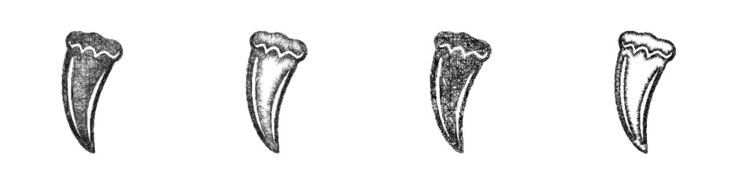 Sketch monochrome wolf fang icon design set