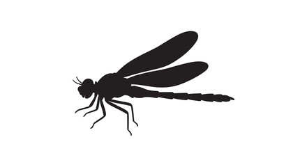 Dragonfly silhouette against a white background a dark insect outline silhouette © MD