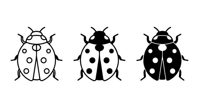 Simple Ladybug Icons, Black and White Insect Vector Graphics, Cute Ladybird Symbols for Design