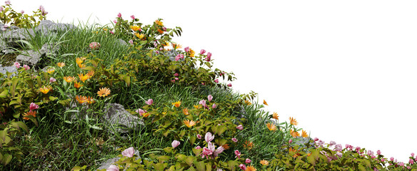 Dense green slope covered with lush vegetation and small yellow wildflowers isolated on white background vegetation wildflowers © Tahmina