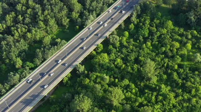 Aerial Highway Cutting Through Dense Green Forest Overpass