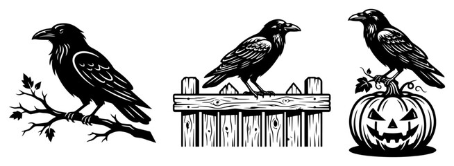 Fototapeta premium Ravens perched on branch fence and pumpkin in spooky linocut style