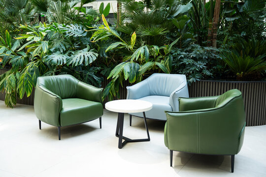 Modern office lounge area with green armchairs and lush foliage. Biophilic interior design in corporate coworking space