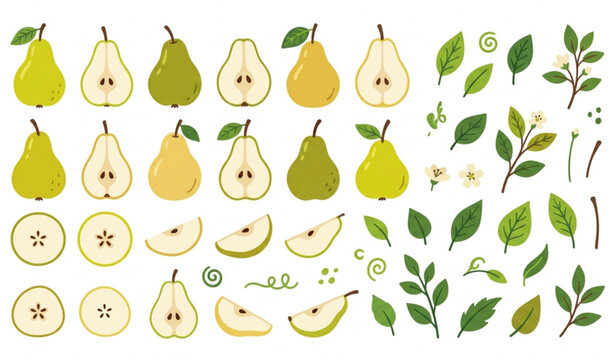 Premium pear vector pack with ripe whole sliced and halved fruit illustrations